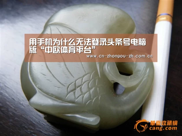 用手机为什么无法登录头条号电脑版“中欧体育平台”(图4) 中欧体育平台