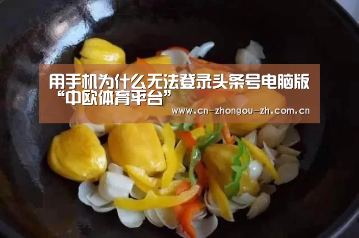 用手机为什么无法登录头条号电脑版“中欧体育平台”(图3) 中欧体育平台