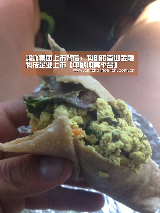蚂蚁集团上市背后:科创板首迎金融科技企业上市【中欧体育平台】(图2) zoty体育
