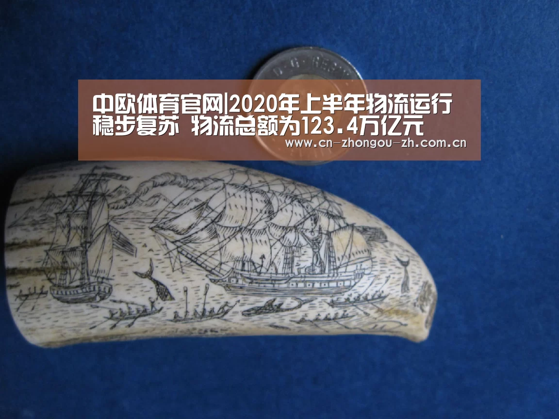 中欧体育官网|2020年上半年物流运行稳步复苏 物流总额为123.4万亿元(图3) 中欧体育官网