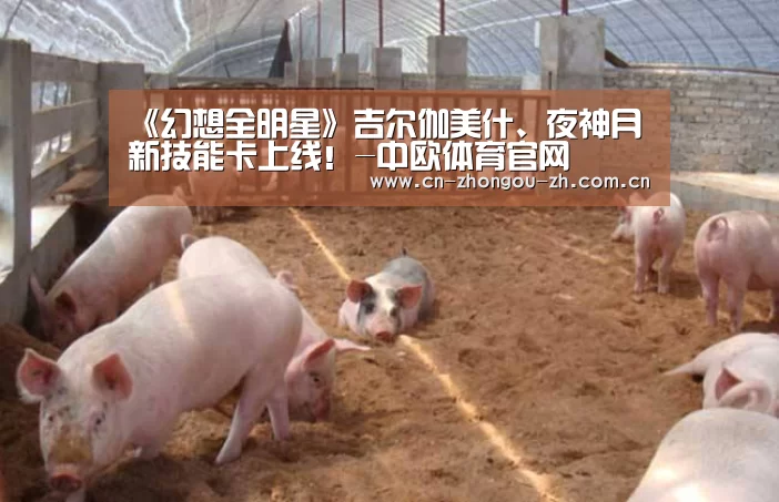 《幻想全明星》吉尔伽美什、夜神月新技能卡上线!-中欧体育官网(图2) 中欧体育官网