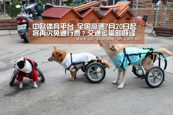 中欧体育平台_全国高速7月20日起将再次免通行费?交通运输部辟谣(图1) 中欧体育官网