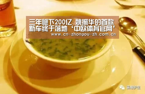 三年砸下200亿 姚振华的首款新车终于落地‘中欧体育官网’(图1) 中欧体育官网