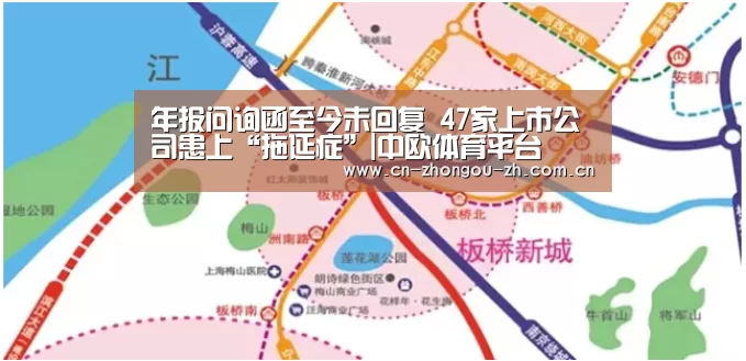 年报问询函至今未回复 47家上市公司患上“拖延症”|中欧体育平台(图2) 中欧体育