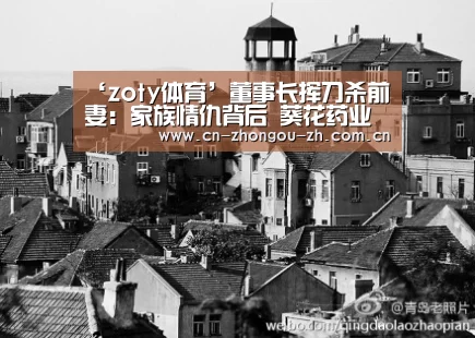 ‘zoty体育’董事长挥刀杀前妻:家族情仇背后 葵花药业正在经历什么(图4) 中欧体育平台